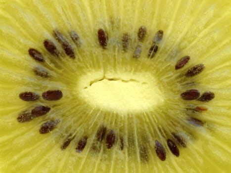 golden kiwi (actinidia chinensis planch)