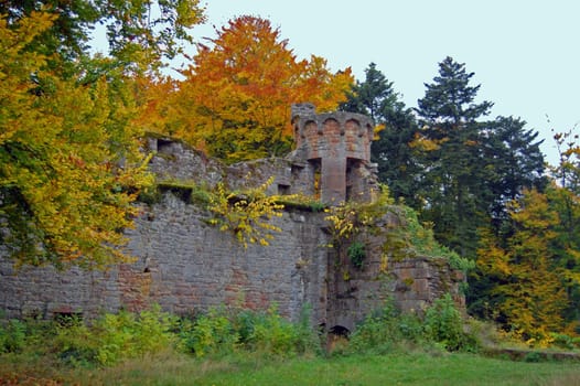 Ruins of Wildenburg