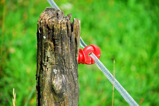 Pasture fence