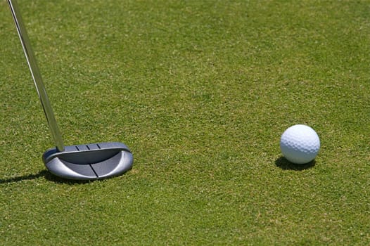 Golf Putter
