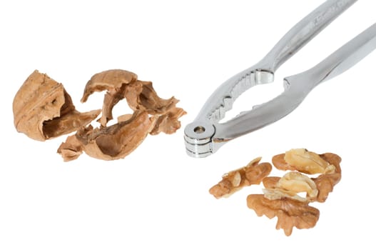 Walnut