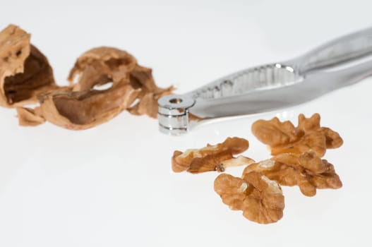Walnut