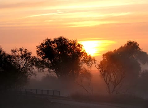 Fog in the morning in autumn