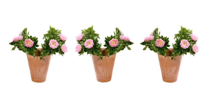 Three Vases