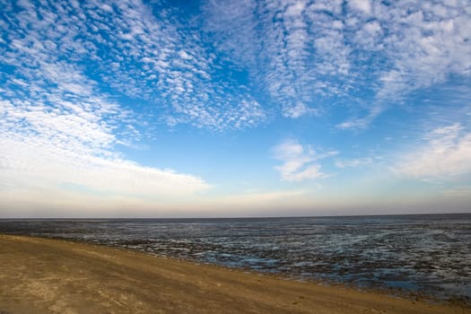 Wadden Sea