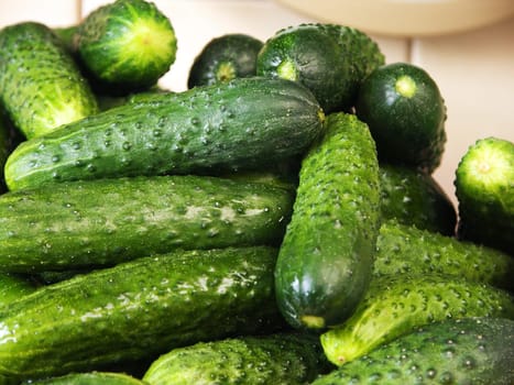 Fresh green cucumbers on preservation