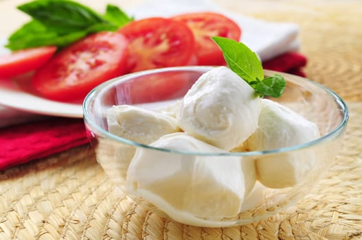 Bocconcini cheese