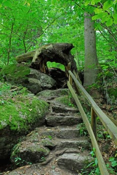 The Way
