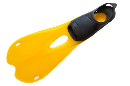close-up of fin