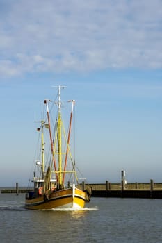 Crab Cutter