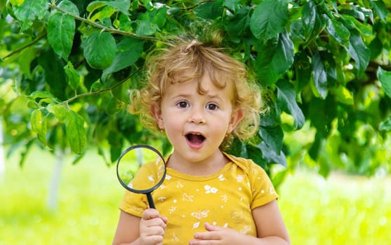 A child studies nature with a magnifying glass. Selective focus. Nature.