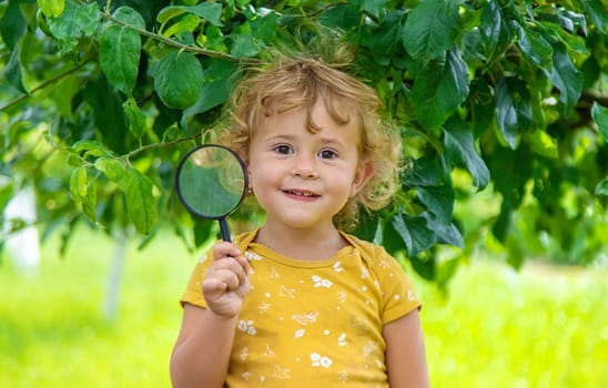 A child studies nature with a magnifying glass. Selective focus. Nature.