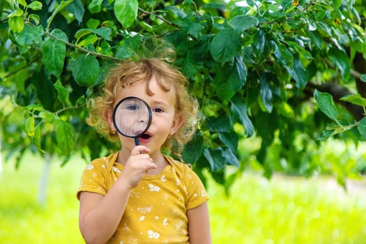 A child studies nature with a magnifying glass. Selective focus. Nature.