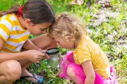 A child studies a beetle in a jar with a magnifying glass. Selective focus. Nature.