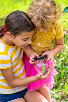 A child studies a beetle in a jar with a magnifying glass. Selective focus. Nature.