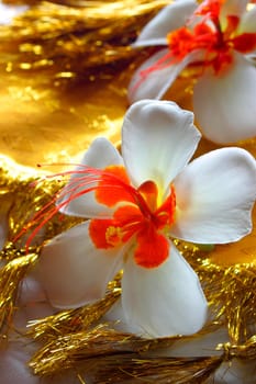 Tropical flower on gold cloth