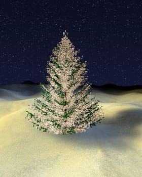 snowy fir tree