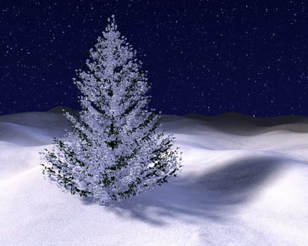 Holy Night