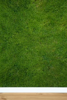 natural wallpaper