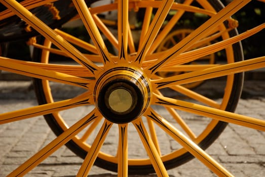 Spokes