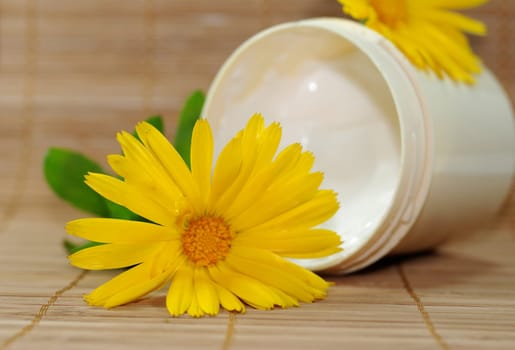 Calendula ointment