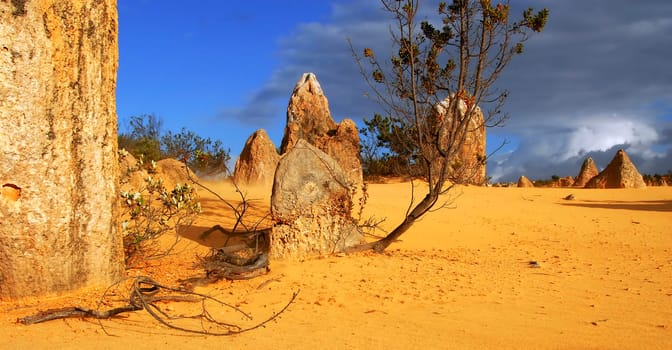 Pinnacles