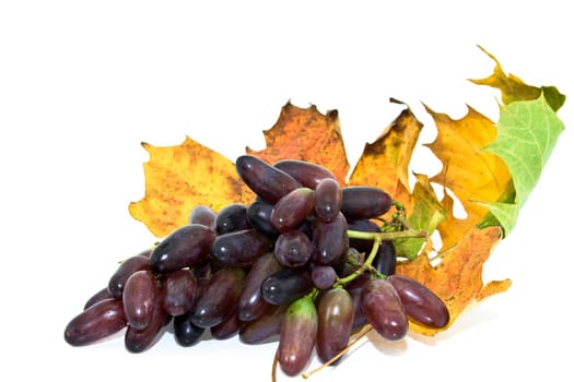 Grapes