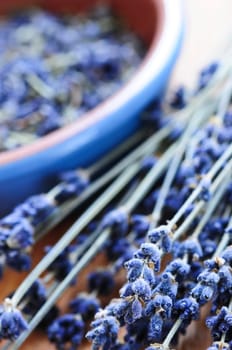 Dried lavender