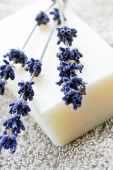 Lavender soap