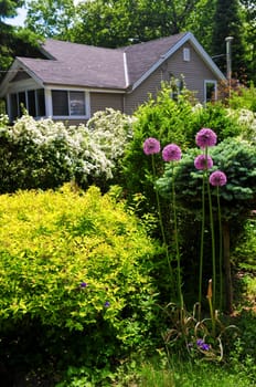 Front yard of a house