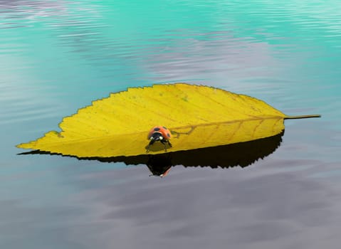 Ladybug on drifting leaf