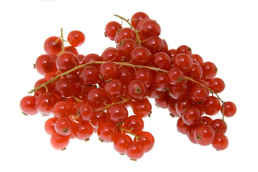 Currant