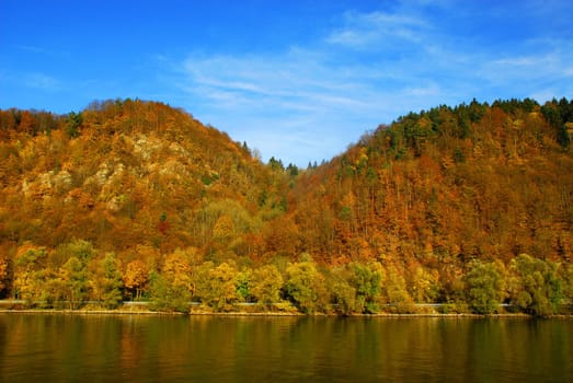 Autumn Colors