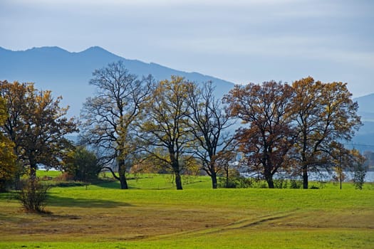 Autumn in the Bavarian Prealps