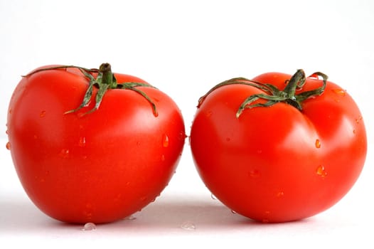 Two fresh tomatoes