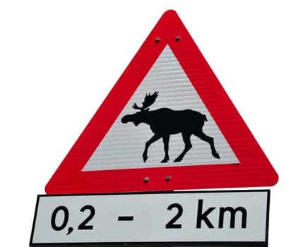 Moose - Traffic