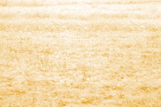 Dry Grass Field
