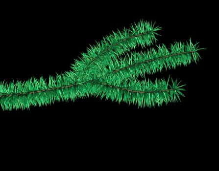 Christmas Tree Branch