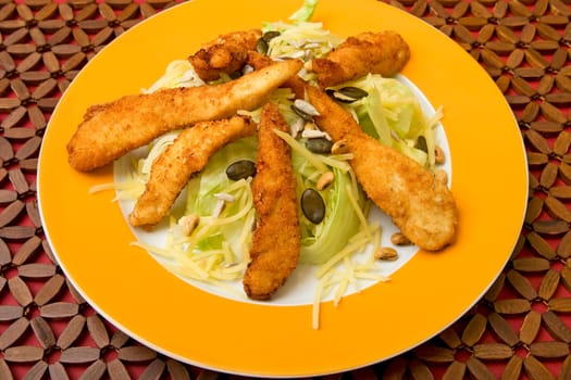 Salad with turkey strips