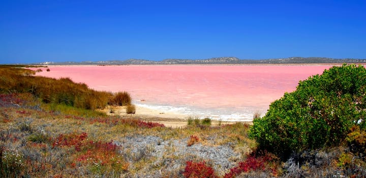 Pink Lake