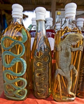 asian liquor with reptiles