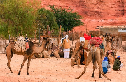 Parking on the desert street