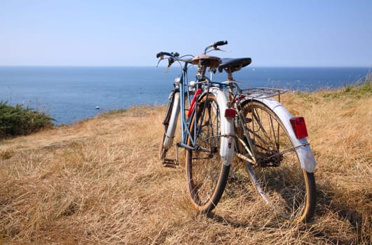 Attached bicycles