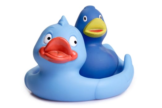 Blue Rubber Ducks