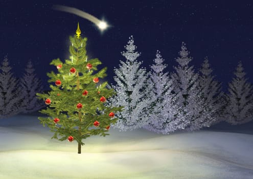 Christmas Landscape