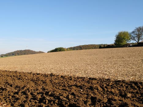 Brown Field