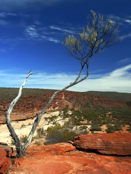 Kalbarri