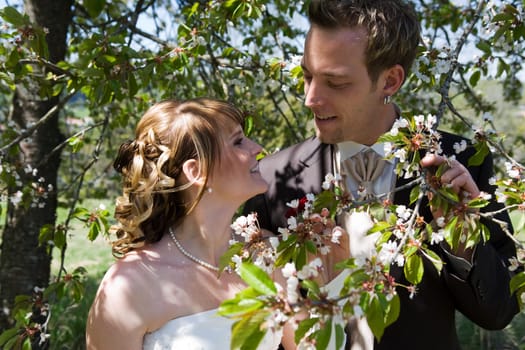 Cherry blossom wedding photo