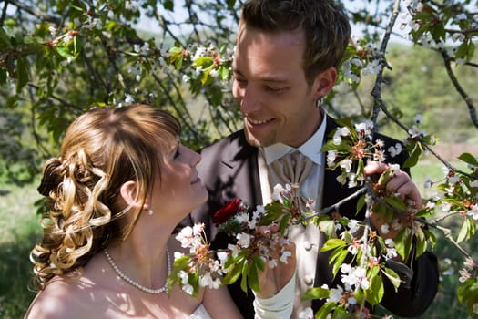 Newlyweds at the cherry tree