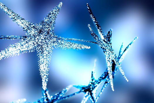 Christmas Bright Stars